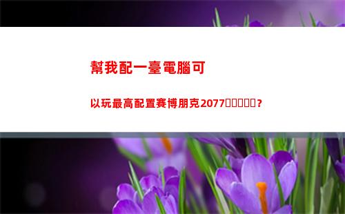 幫我配一臺電腦可以玩最高配置賽博朋克2077？